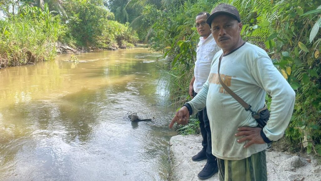 Pemprov Sumbar sebar bibit gariang untuk masyarakat. (dok. adpsb)