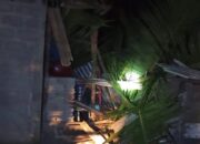 Warga Pessel Tewas usai Rumahnya Ditimpa Pohon Tumbang