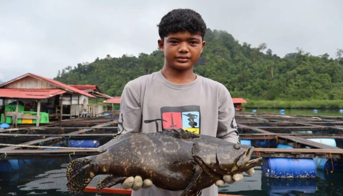 Badan Karantina Indonesia Tangani 3.728 Kasus Komoditas Ilegal, Satu sudah P21