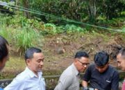 Harimau Sumatera Terekam di Pemukiman Warga Agam, BKSDA Pastikan Hanya Melintas
