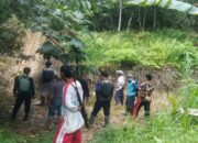 BKSDA Sumbar Pastikan Hanya Ada Satu Harimau Sumatera yang Muncul di Pagadih Hilia, Agam