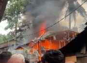 Kebakaran Hebat di Pasaman, Rumah Papan Ludes Dilalap Api, Bayi 1,5 Tahun Tewas Terjebak