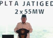 Menuju Swasembada Energi, Presiden Prabowo Resmikan 37 Proyek Listrik di 18 Provinsi