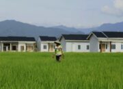 Beras Indonesia Bakal Melimpah, Produksi Tertinggi di ASEAN