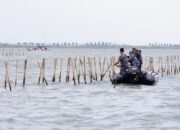 Hasil Penelitian Temukan Sertifikat Berada di Luar Garis Pantai, Kementerian ATR/BPN Lakukan Proses Pembatalan