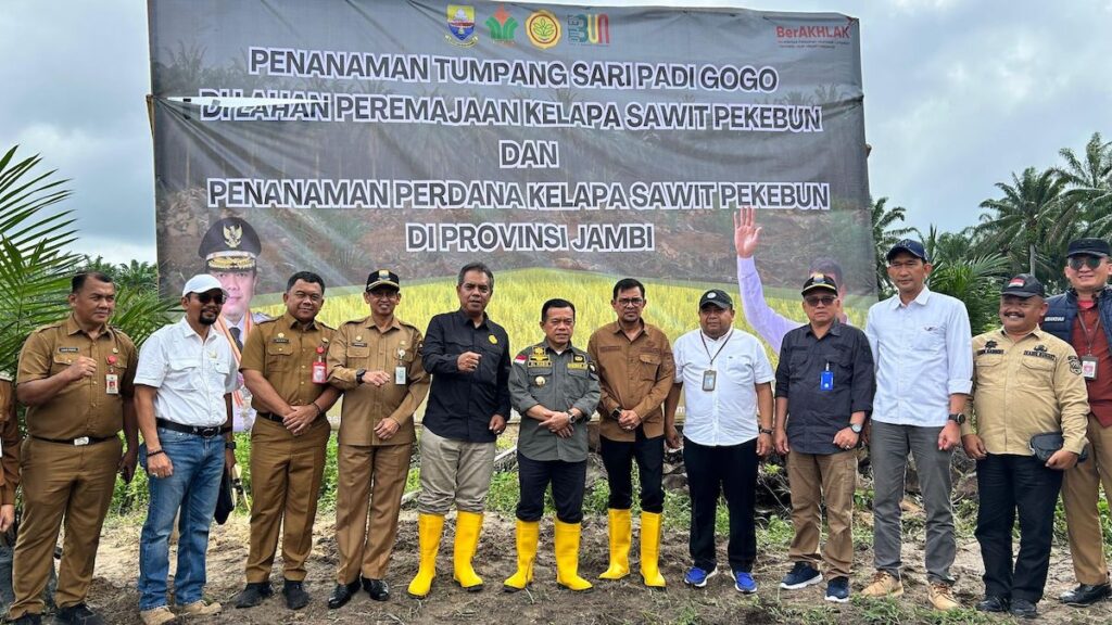 Penanaman tumpang sari padi gogo di lahan peremajaan kelapa sawit PTPN VI Regional 4. (dok. istimewa)