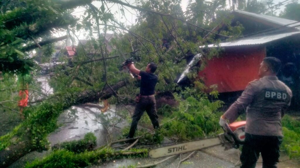 Petugas BPBD Padang membersihkan pohon tumbang. (dok. BPBD Padang)