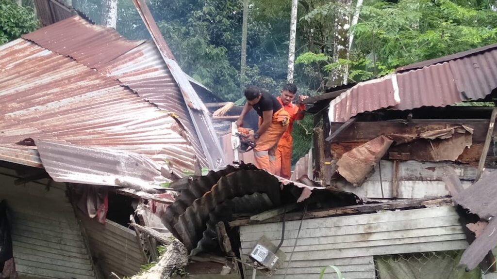 Petugas dari BPBD Padang membersihkan material pohon yang tumbang ke rumah warga saat hujan deras terjadi kemarin. (dok. BPBD Padang)