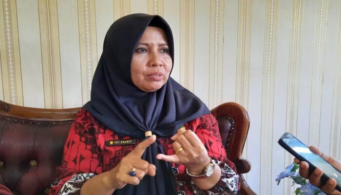 Didominasi Usaha Mikro, Investasi Pariaman 2025 Tetap Tumbuh Positif