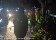 Hujan Deras pada Selasa Sore Sebabkan Dua Pohon Tumbang di Padang