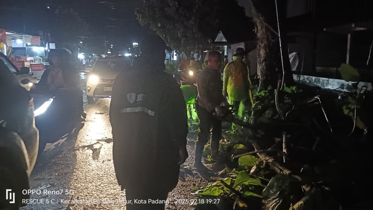BPBD Padang bersihkan pohon yang menghambat jalan di Air Camar. (dok. BPBD Padang)