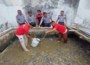Rutan Lubuk Sikaping Kembangkan Budidaya Lele untuk Kewirausahaan dan Ketahanan Pangan