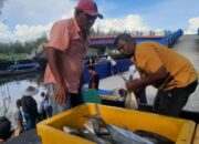 Produksi Ikan Tangkap di Pariaman pada Tahun 2024 Meningkat Jadi 6.087 Ton