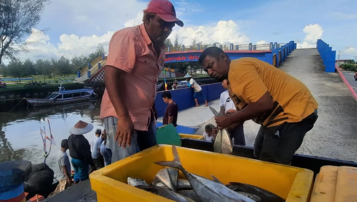 Sejumlah nelayan di Kota Pariaman, Sumbar memindahkan ikan hasil tangkapannya ke dalam mobil untuk diangkut dan dipasarkan. (dok. ANTARA/Aadiaat M. S.)