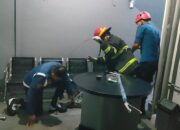 Damkar Padang Evakuasi Ular Piton 3 Meter di Kantor Bank BRI Khatib Sulaiman