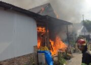 Kebakaran Hanguskan Dua Rumah di Seberang Padang, Kerugian Capai Rp500 Juta