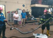 Damkar Padang Evakuasi Ular Piton 3 Meter dari Bengkel Las