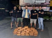 Polresta Padang Amankan 28 Paket Ganja Kering saat Tangkap Pelaku Curanmor