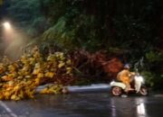 Longsor di Sitinjau Lauik, Akses Jalan Padang-Solok Sementara Ini Lumpuh