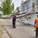 Pohon tumbang di kawasan Lubuk Minturun. (dok. BPBD Padang)