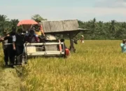 Pemkab Pasaman Barat Targetkan Luas Tanam Padi 20.321 Ha di 2025