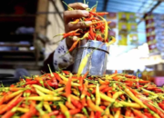 Tak Perlu Panic Buying, Kementan Jamin Ketersediaan Cabai hingga Lebaran
