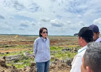 Direktur Keuangan dan Manajemen Risiko PTPN IV PalmCo Hilda Savitri saat mengunjungi areal tanam ulang sawit perusahaan. (dok. Humas)