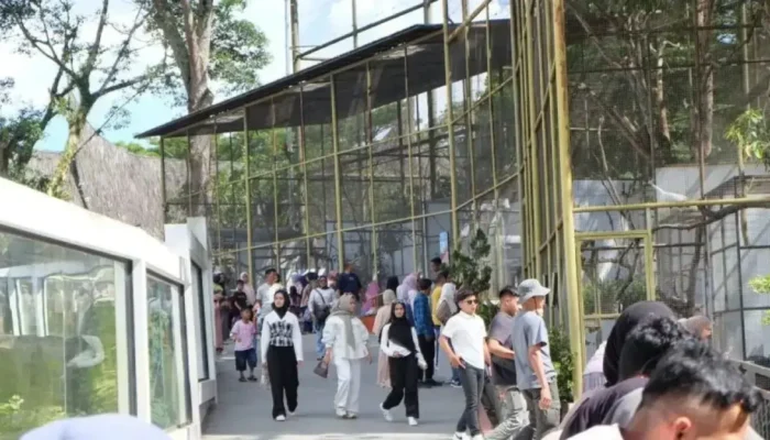 Kunjungan Wisata di Bukittinggi Naik Signifikan, PAD Capai Rp 2,9 Miliar selama Libur Lebaran