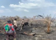 10 Daerah di Riau Siaga Karhutla, Gubernur: Jangan Tunggu Api Menyala Baru Bergerak