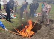 Karantina Sumbar Musnahkan 168 Kg Komoditas Ilegal di BIM