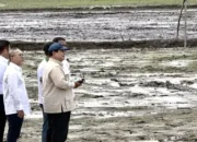 Presiden Prabowo Uji Drone Penebar Benih di Banyuasin: 25 Hektare Sawah Tertanami Sehari