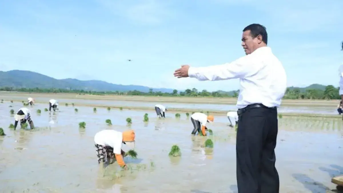 Mentan Amran Sulaiman mengecek areal sawah yang tengah ditanami. (dok. Kementan)