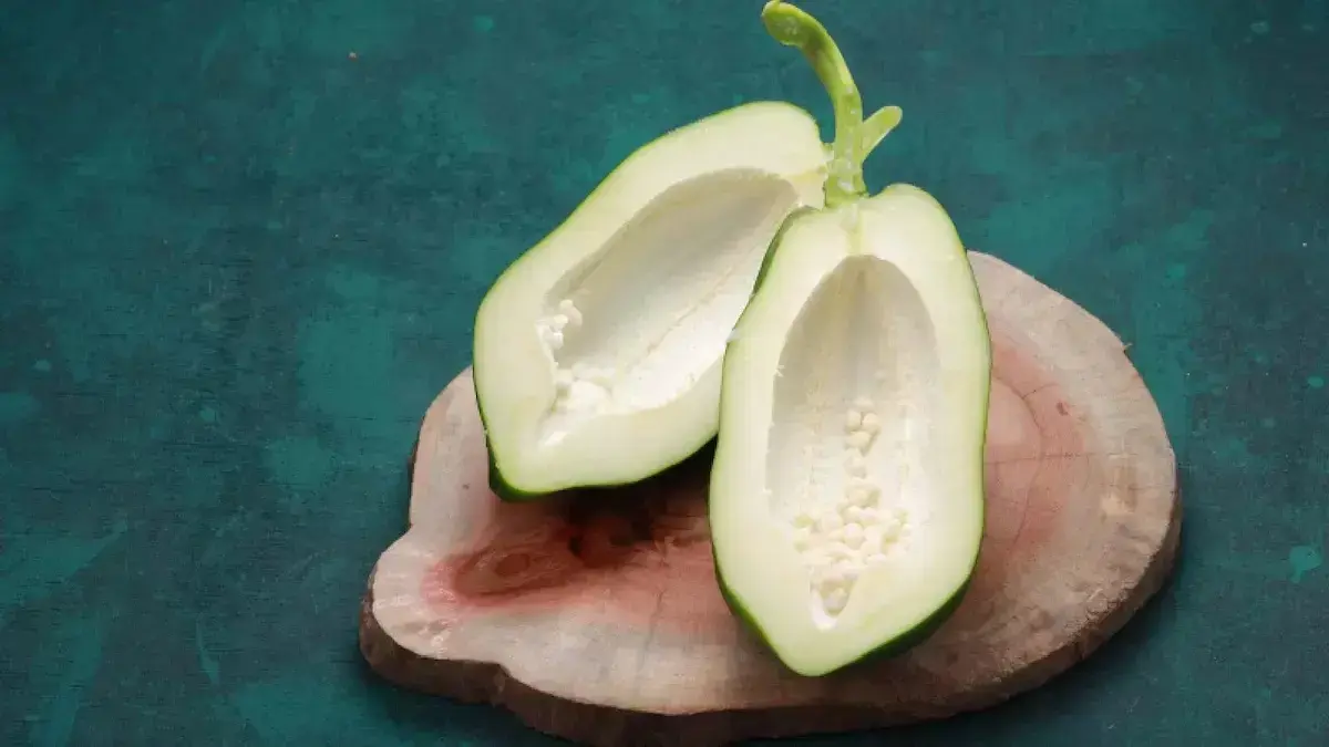 ilustrasi pepaya muda. (dok. istimewa)