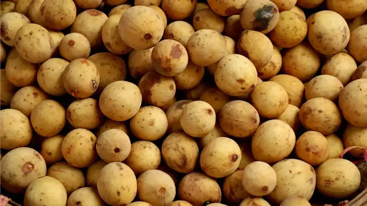 Buah duku. (dok. istimewa)