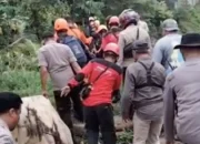 Bocah 3 Tahun Hanyut di Sungai Simpang Gadut Ditemukan Meninggal Dunia