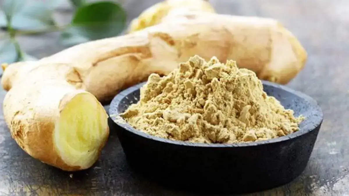 ilustrasi kunyit putih. (dok. istimewa)