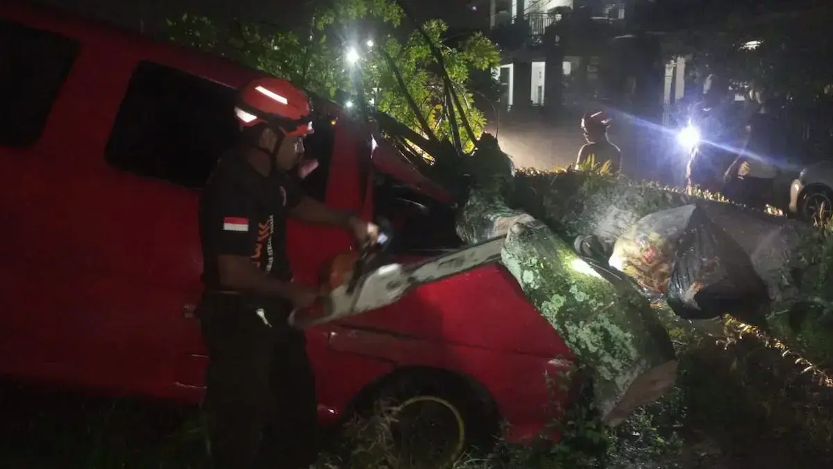 Pohon tumbang timpa mobil di Kelurahan Padang Besi, Kecamatan Lubuk Kilangan, Kota Padang. (dok. Humas BPBD Padang)