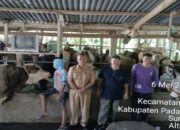 Jelang Idul Adha, Pemkab Padang Pariaman Bentuk Empat Tim Awasi Pemotongan Hewan Kurban