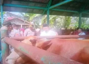 Jelang Idul Adha, Pemkab Pasaman Barat Wajibkan SKKH untuk Hewan Kurban