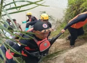 Pencarian Berakhir Tragis, Korban Diterkam Buaya di Pasaman Ditemukan Meninggal Dunia