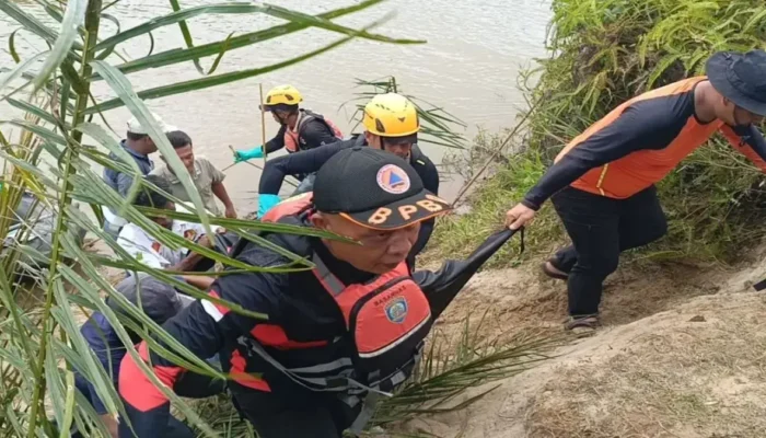 Pencarian Berakhir Tragis, Korban Diterkam Buaya di Pasaman Ditemukan Meninggal Dunia