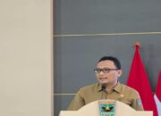 Pemkab Pasaman Barat Targetkan Tambah 2.222 Ha Lahan Tanam Padi pada 2025