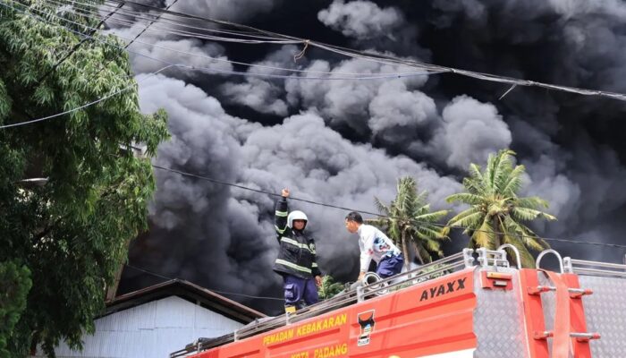 Diduga Gas Pengemasan Karet jadi Penyebab Kebakaran Hebat di PT Teluk Luas, Tak Ada Korban Jiwa