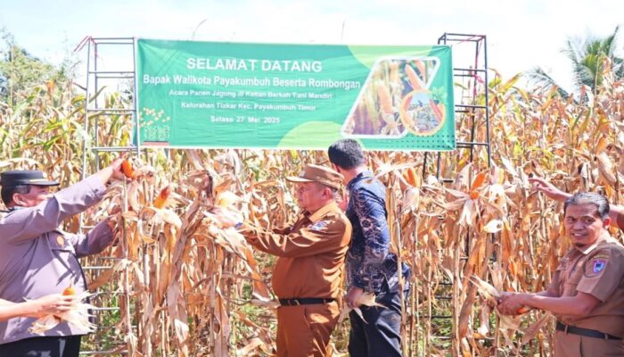 Wujudkan Swasembada Pangan, Pemko Payakumbuh Genjot Pemanfaatan Lahan Tidur
