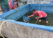 Rutan Lubuk Sikaping Luncurkan Budidaya Ikan Nila Bioflok, Dukung Kemandirian WBP dan Ketahanan Pangan
