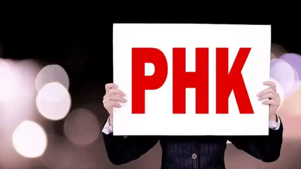 ilustrasi PHK. (dok. istimewa)