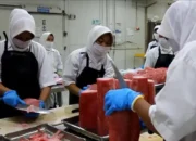 Mendag RI Lepas Ekspor Tuna dari Sumbar ke UEA, Nilainya Rp1,87 Miliar