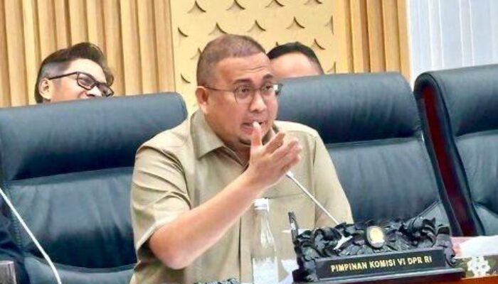BPP HIPMI Audiensi dengan DPR, Andre Rosiade: UMKM dan Pengusaha Muda jadi Prioritas Kebijakan BUMN