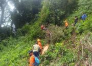 Tim SAR Evakuasi Orang Terjepit Saat Tebang Pohon di Gunung Pangilun
