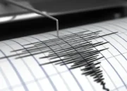 Gempa Darat Magnitudo 3,1 Guncang Pasaman